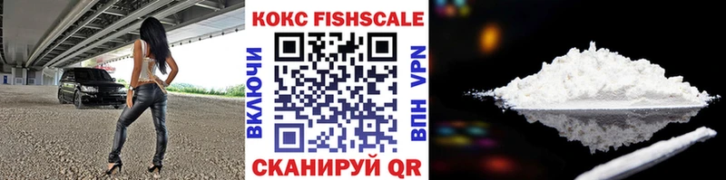Cocaine FishScale  купить  цена  Эртиль 