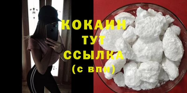 соль ск Богородицк