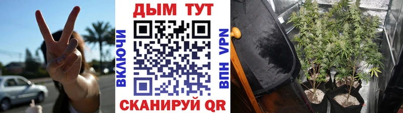 Марихуана OG Kush Эртиль